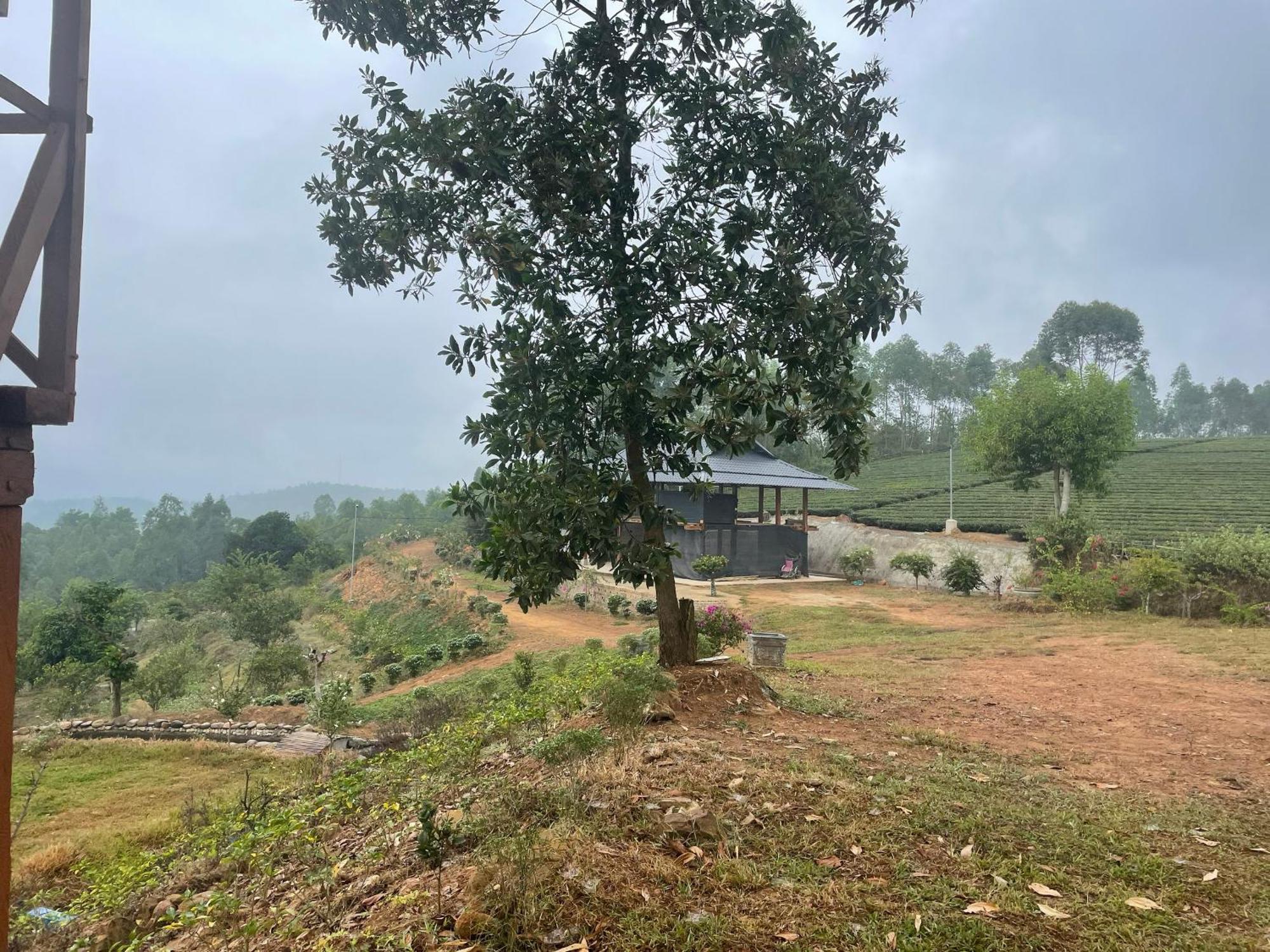 Happy Homestay Nghia Lo Экстерьер фото